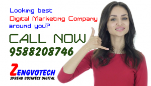 SEO expert in Jodhpur